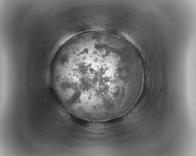 X0000086941215200704301130