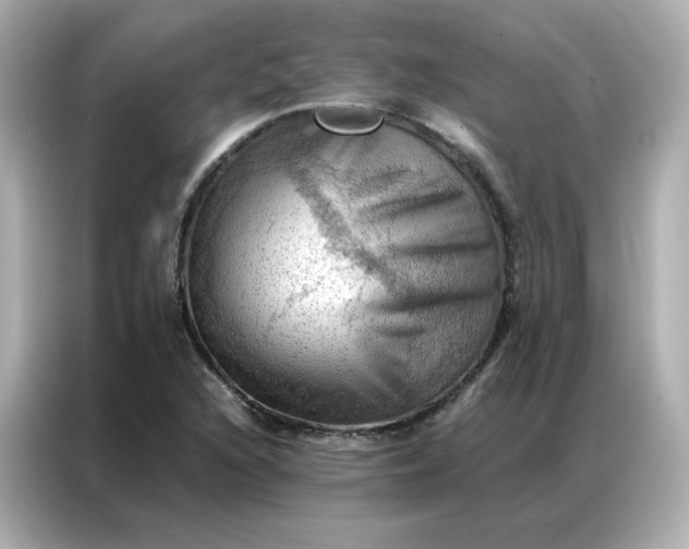 X0000086941216200704301130
