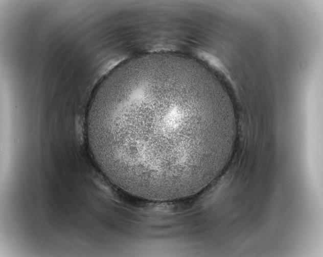 X0000086941217200704301130