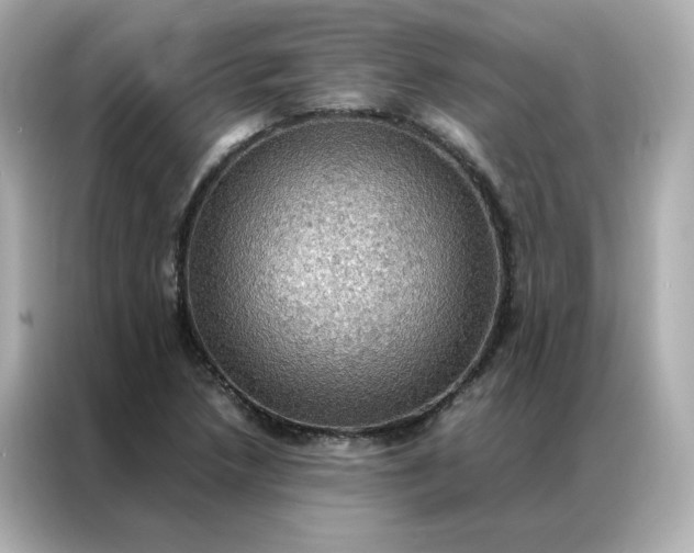 X0000086941218200704301130