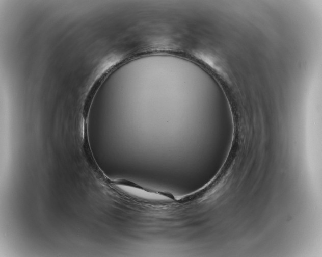 X0000086941221200704301130