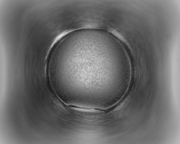 X0000086941222200704301130