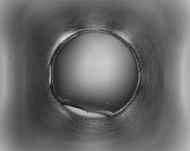 X0000086941223200704301130