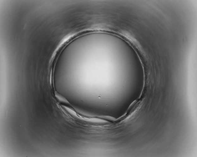 X0000086941224200704301130