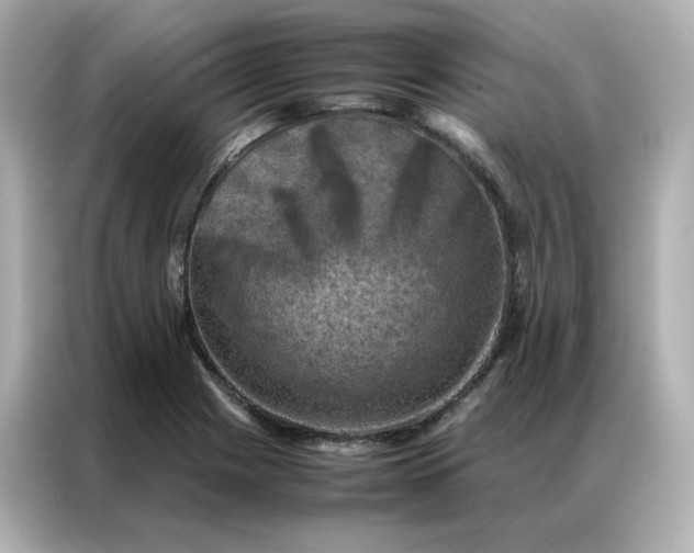 X0000086941225200704301130