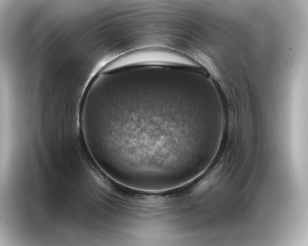 X0000086941226200704301130