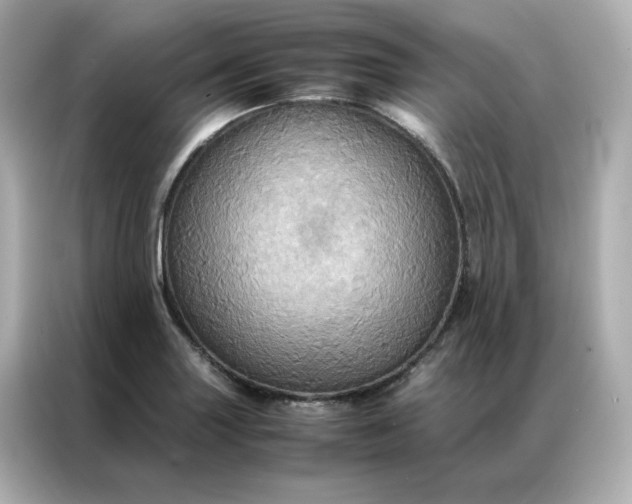 X0000086941227200704301130