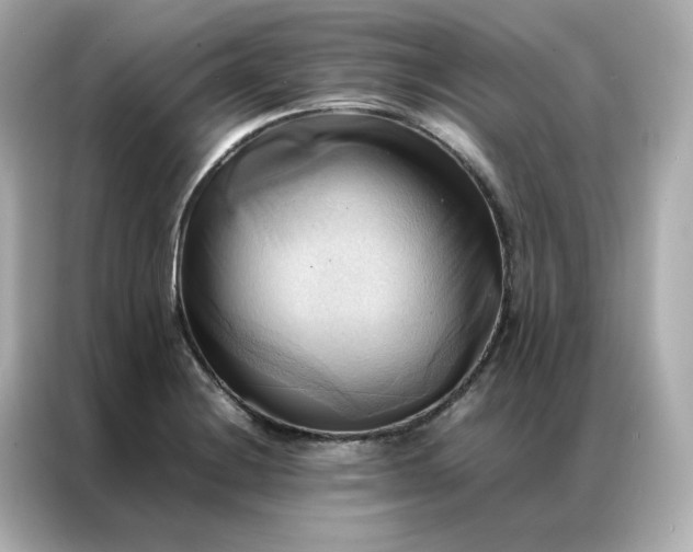 X0000086941228200704301130