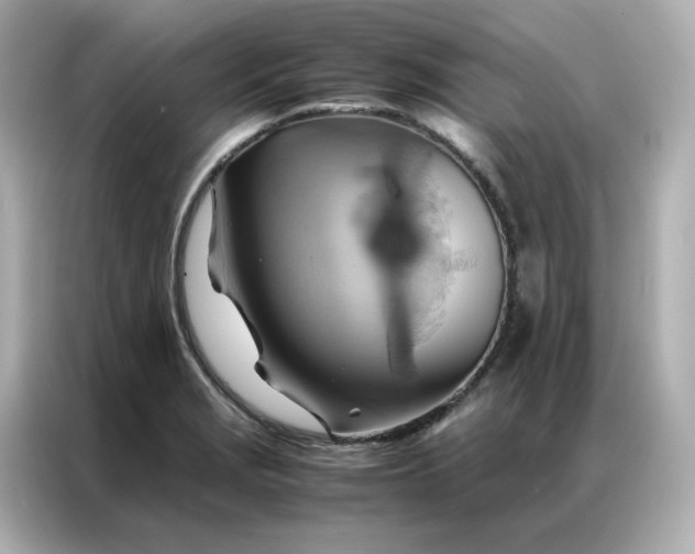 X0000086941229200704301130