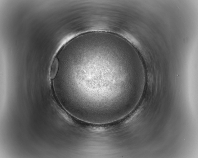 X0000086941230200704301130
