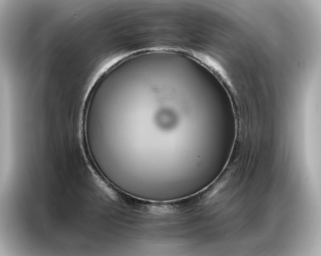 X0000086941231200704301131