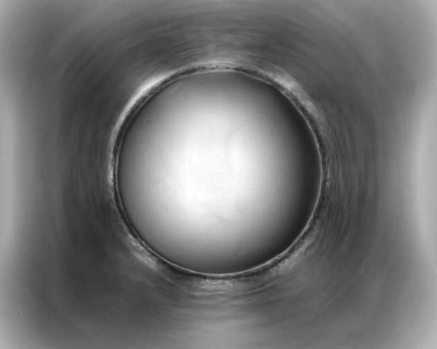 X0000086941232200704301131