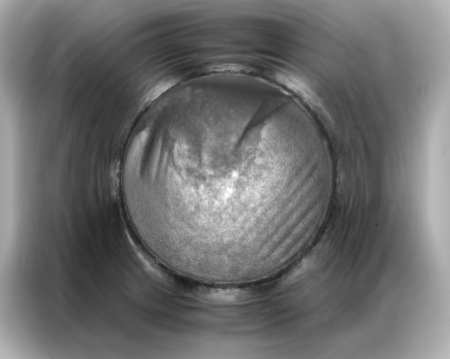 X0000086941233200704301131