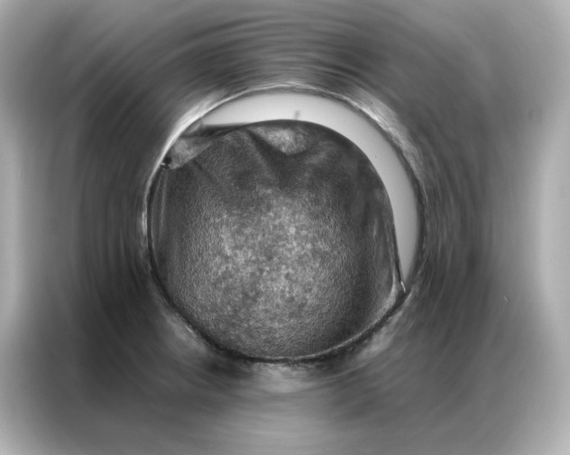 X0000086941234200704301131
