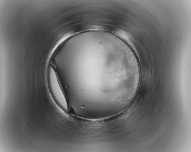 X0000086941235200704301131