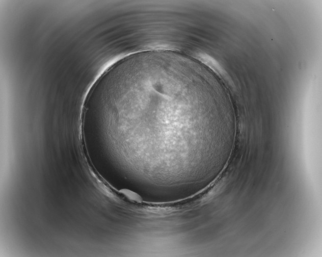 X0000086941236200704301131