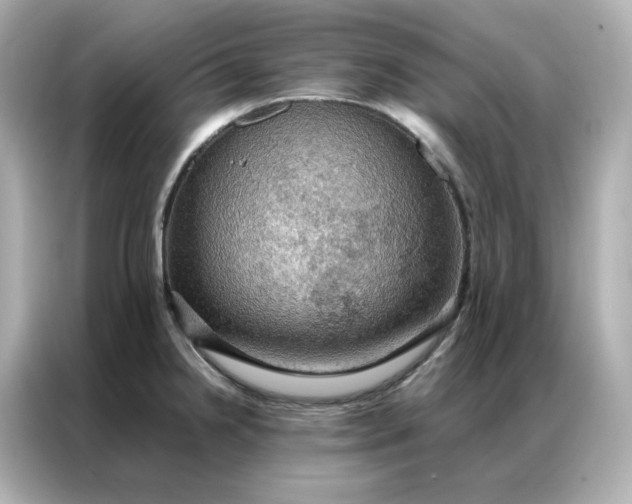 X0000086941238200704301131