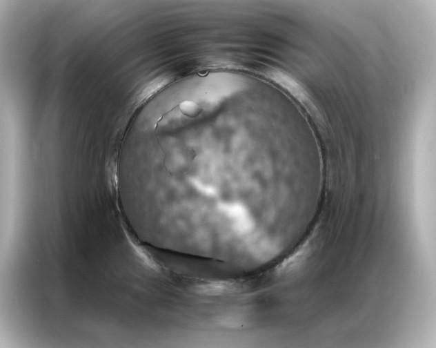 X0000086941241200704301131