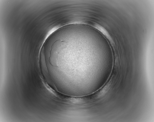 X0000086941242200704301131