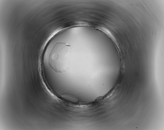 X0000086941243200704301131