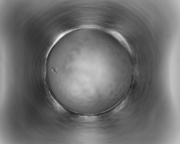 X0000086941244200704301131