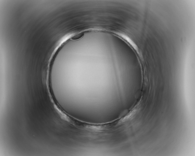 X0000086941245200704301131