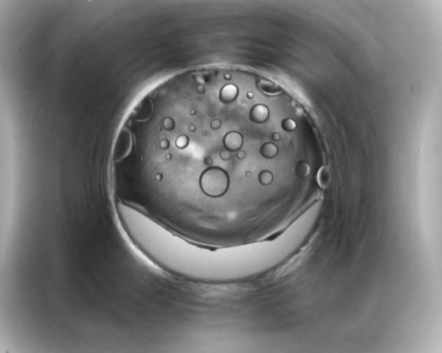 X0000086941247200704301131