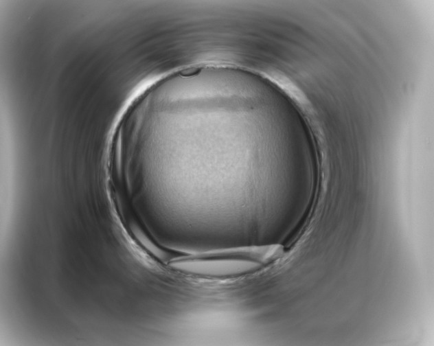 X0000086941248200704301131