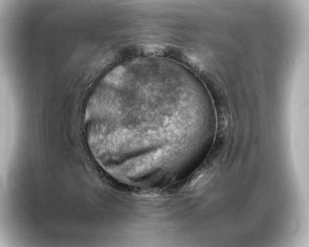X0000086941249200704301130