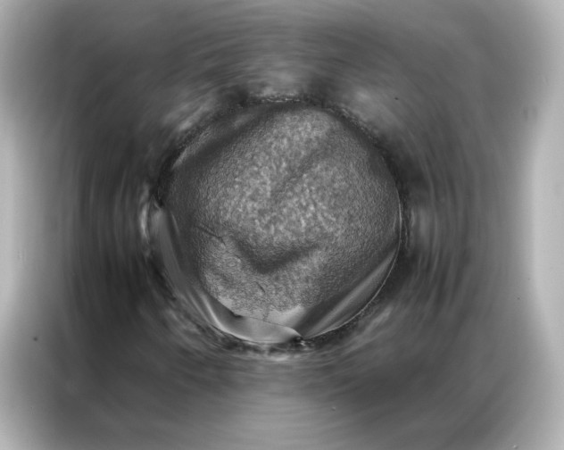 X0000086941250200704301130