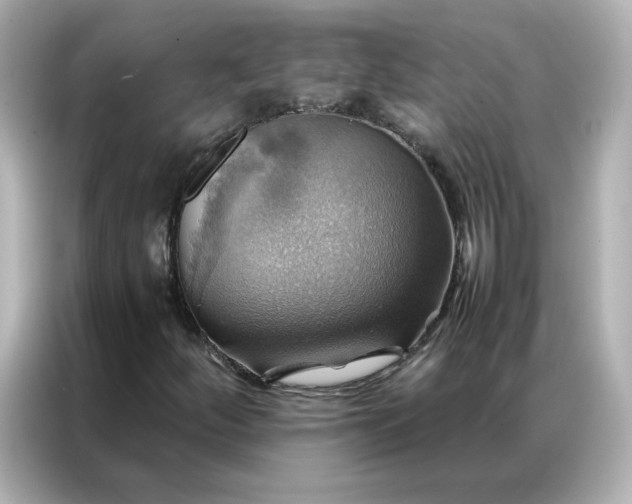 X0000086941252200704301130