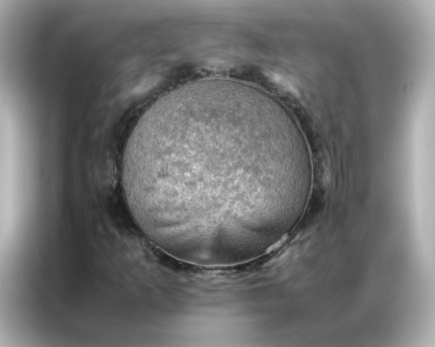 X0000086941253200704301130