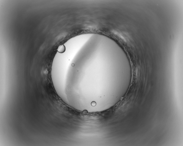 X0000086941254200704301130
