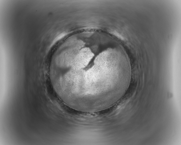X0000086941255200704301130