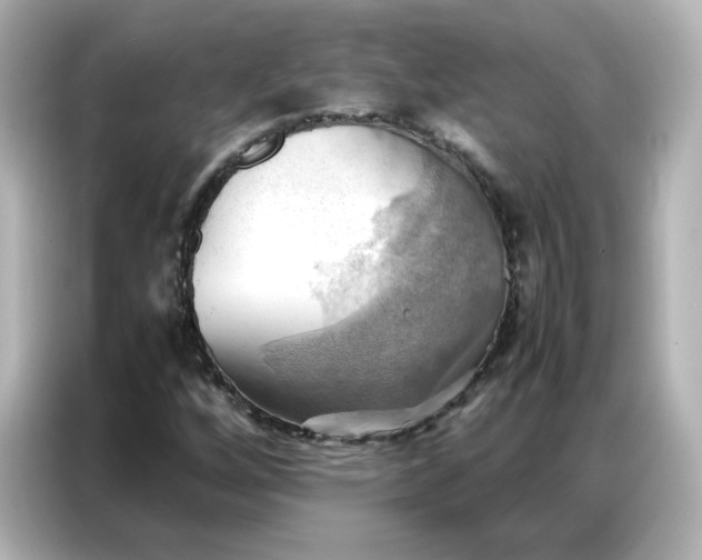 X0000086941256200704301130