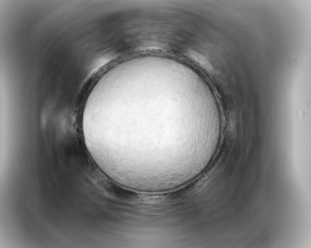 X0000086941258200704301130