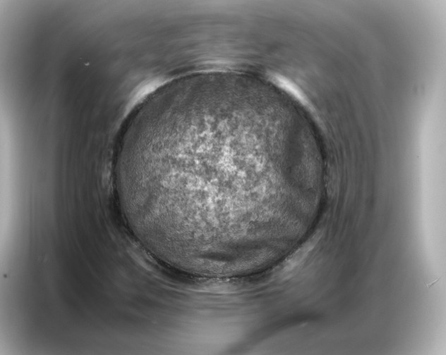 X0000086941259200704301130