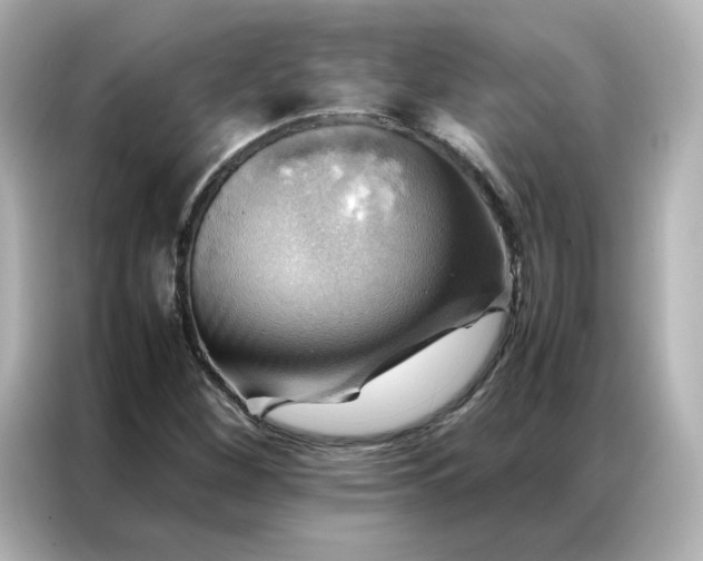 X0000086941260200704301130