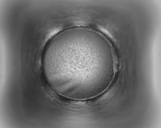 X0000086941261200704301130