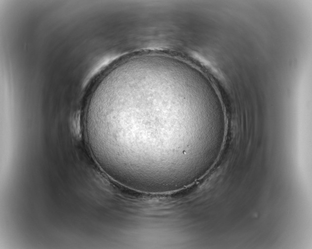 X0000086941262200704301130