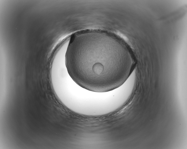 X0000086941263200704301130
