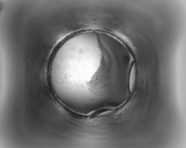 X0000086941264200704301130