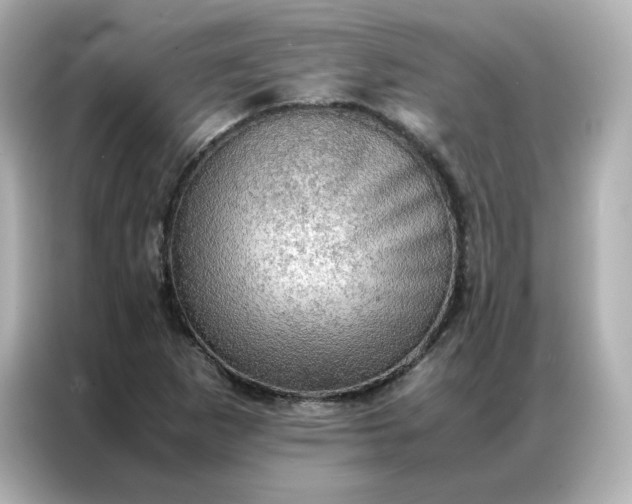 X0000086941265200704301130