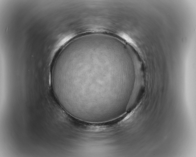 X0000086941269200704301130