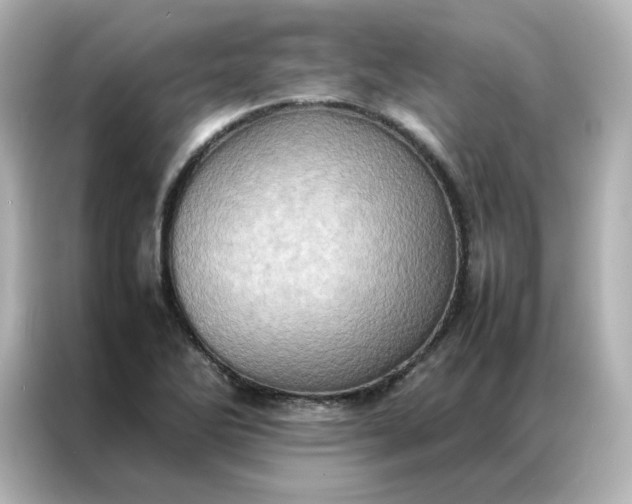 X0000086941270200704301130