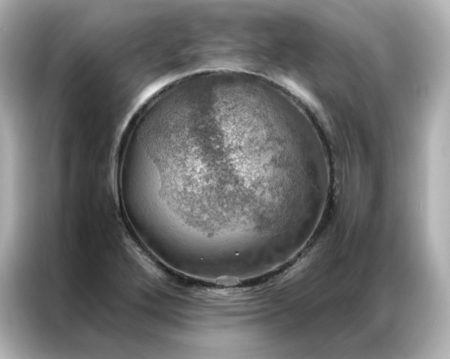 X0000086941272200704301130