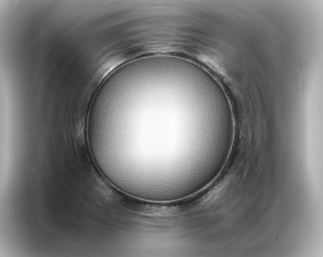 X0000086941273200704301130
