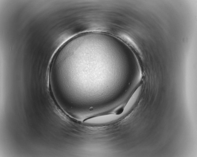 X0000086941276200704301130