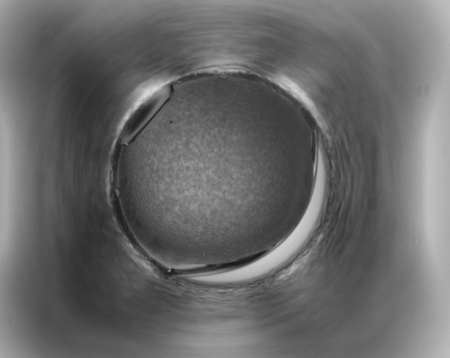 X0000086941277200704301130