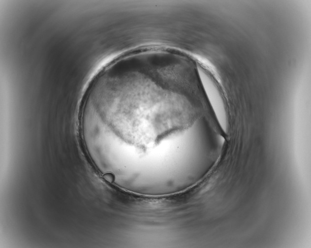 X0000086941279200704301130